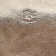 Il Bisonte Bigallo Phone Bag