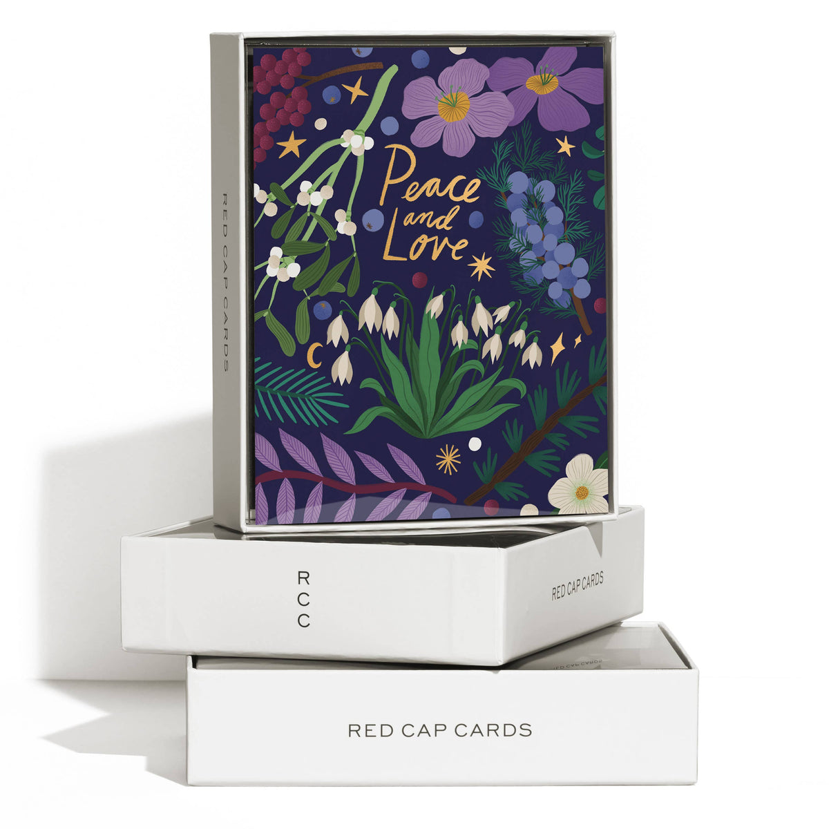 Winter Botanicals Holiday Boxed Card Set