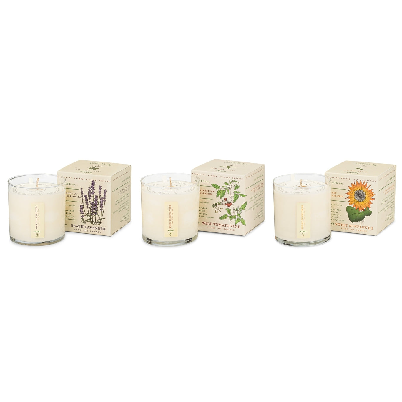 Plant the Box Votive Candle Trio