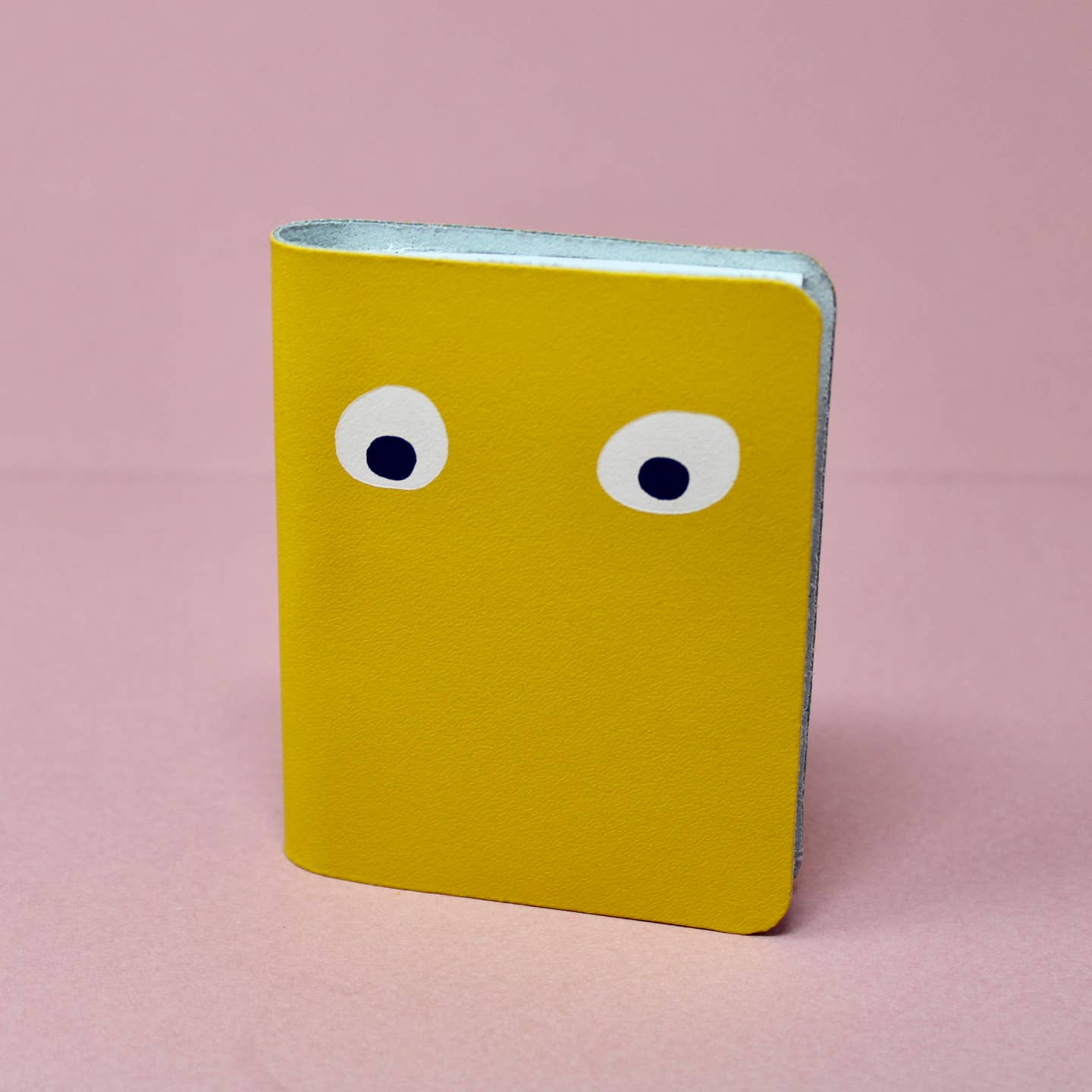 Googly Eye Mini Notebook