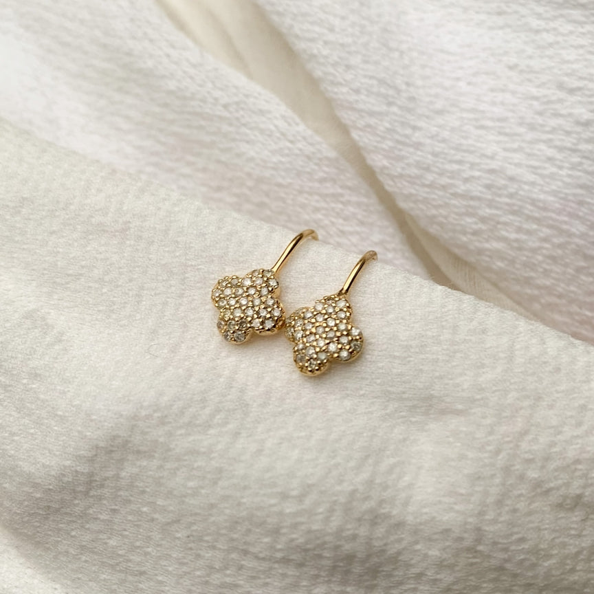 Charlotte Sleeper Earrings