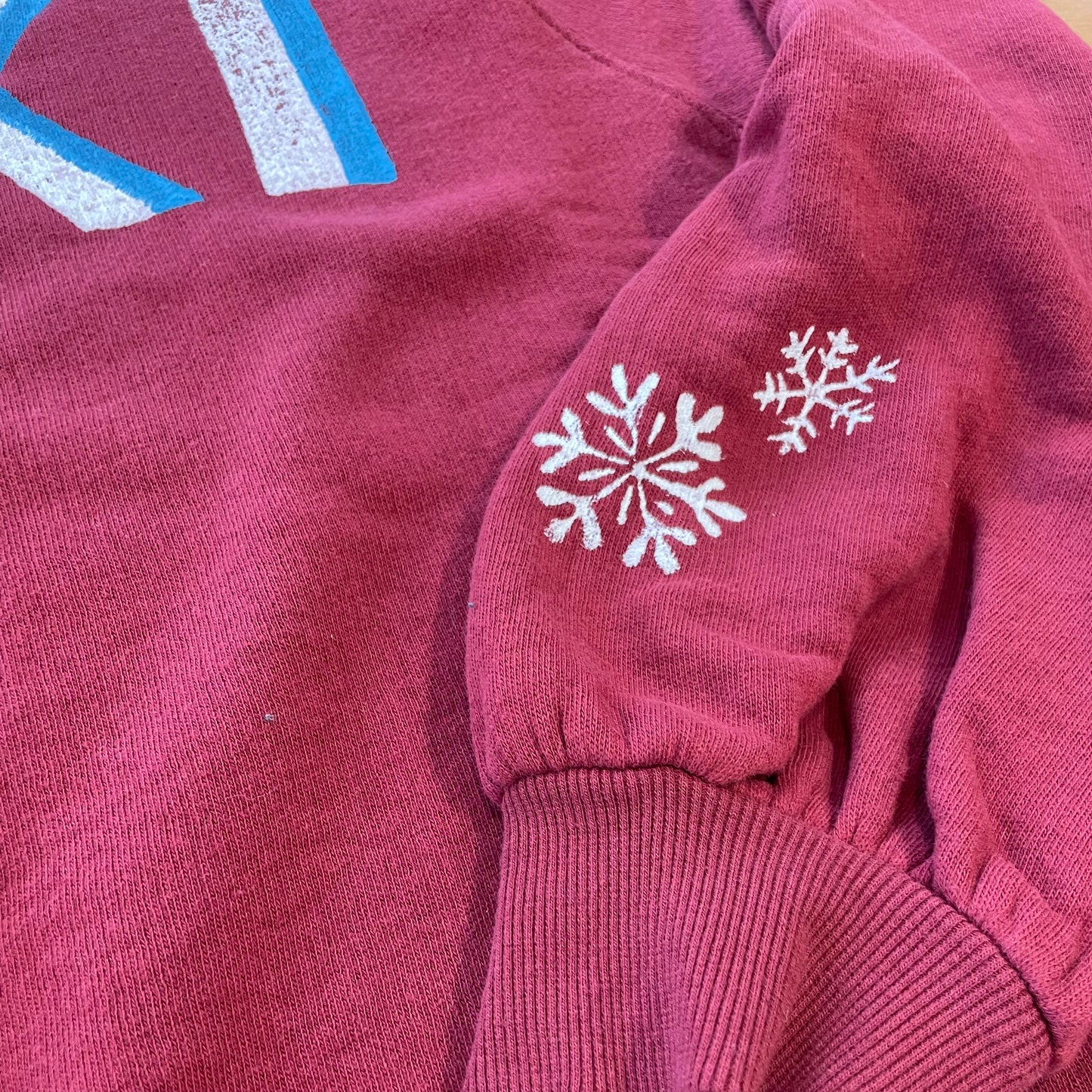 Ski Sweatshirt