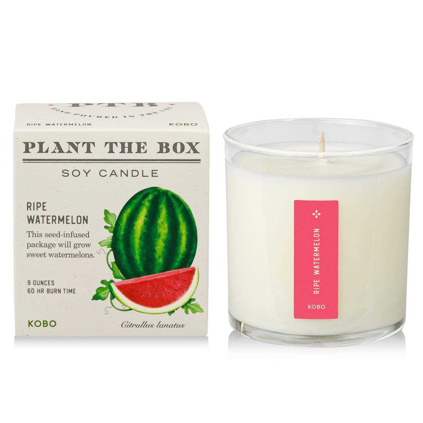 Plant The Box Candle - Multiple Fragrances