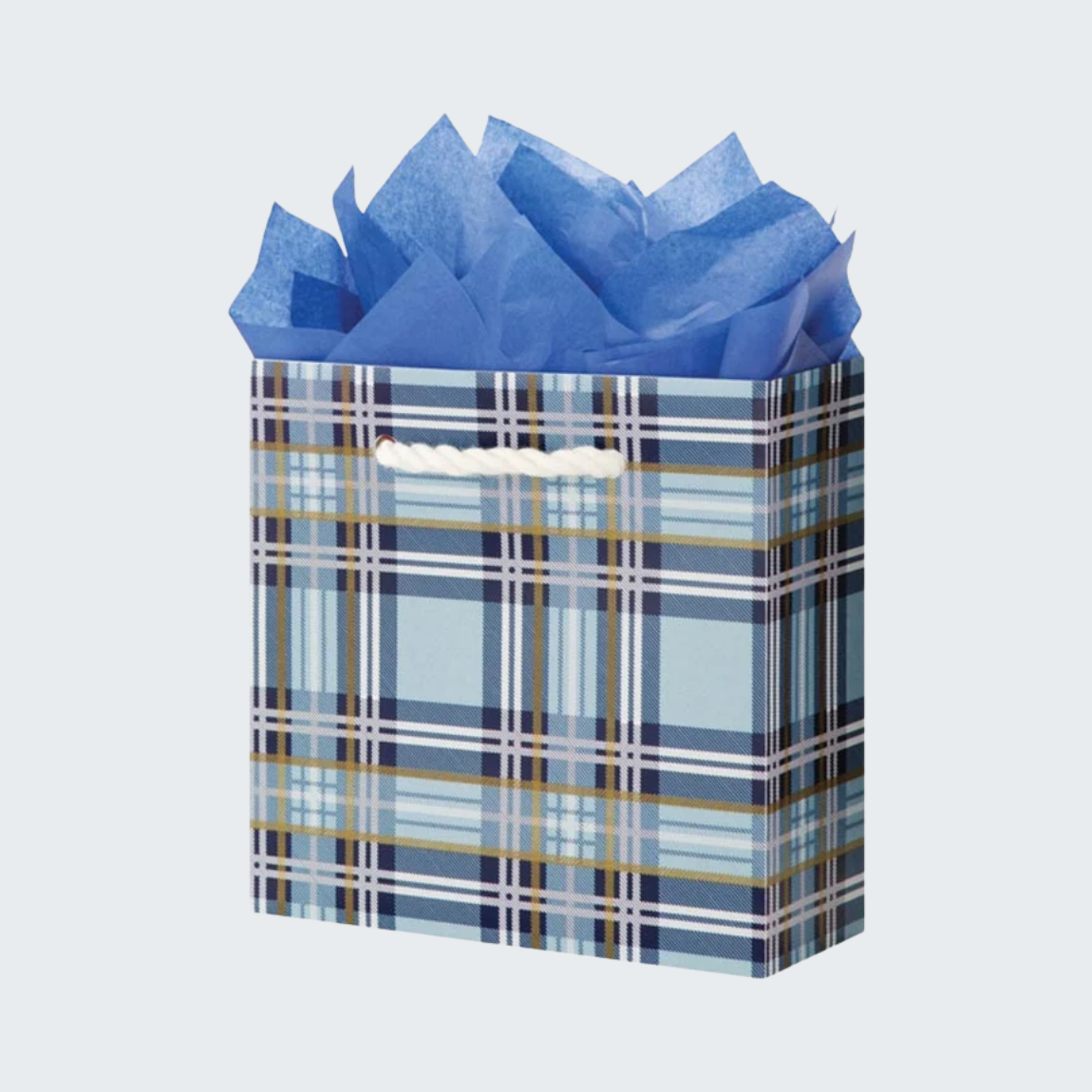 Blue Plaid Square Gift Bag