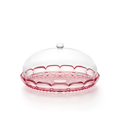 Vanity Cake Serving Set