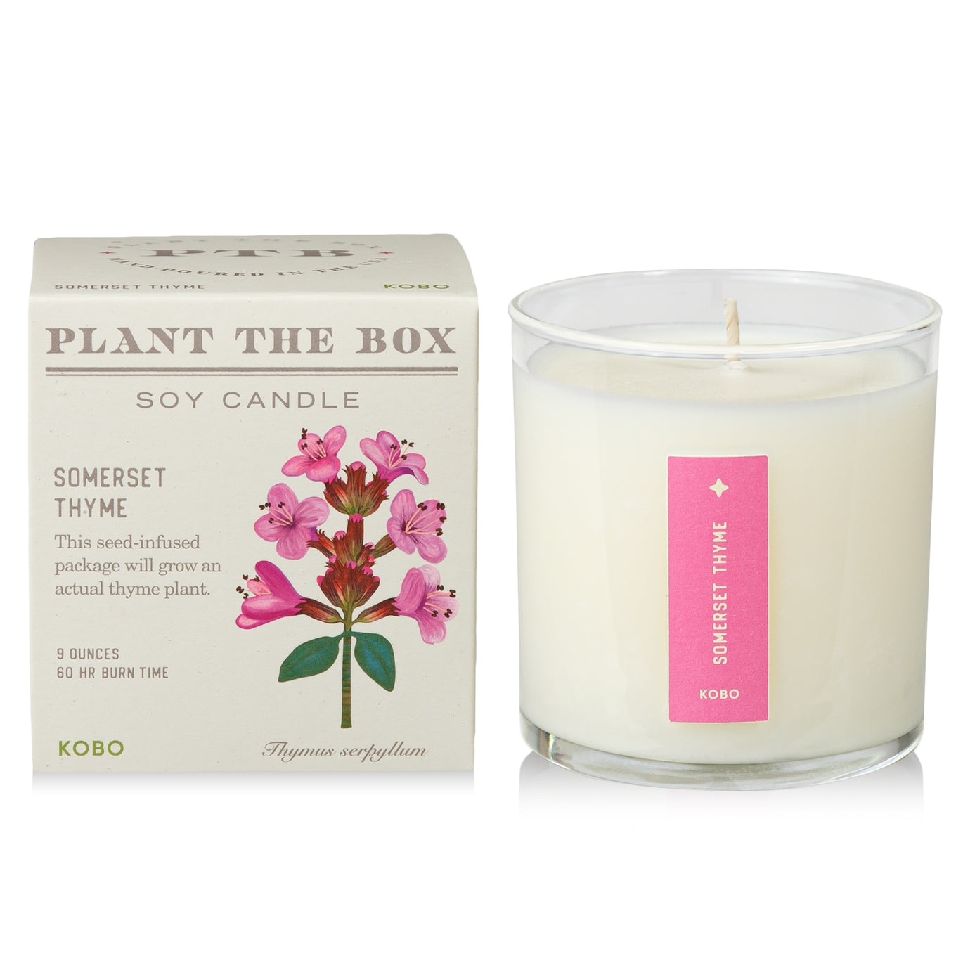 Plant The Box Candle - Multiple Fragrances