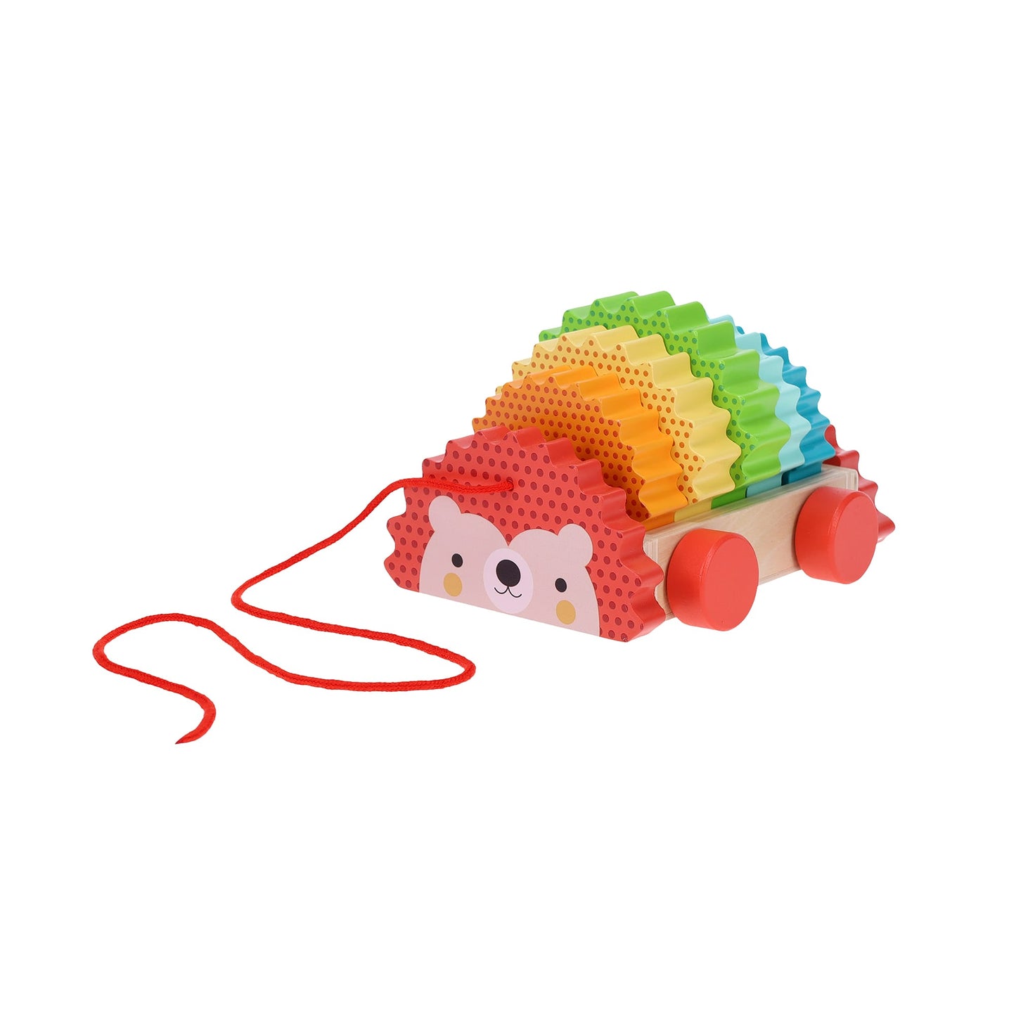 Rainbow Hedgehog Pull Toy