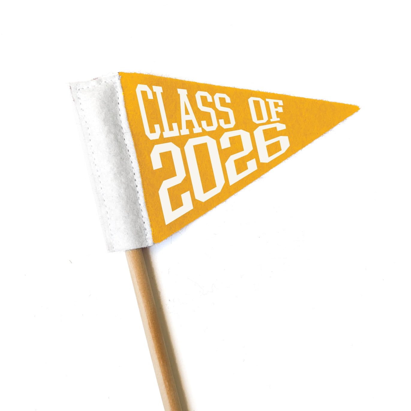 Graduation Pennant Flag