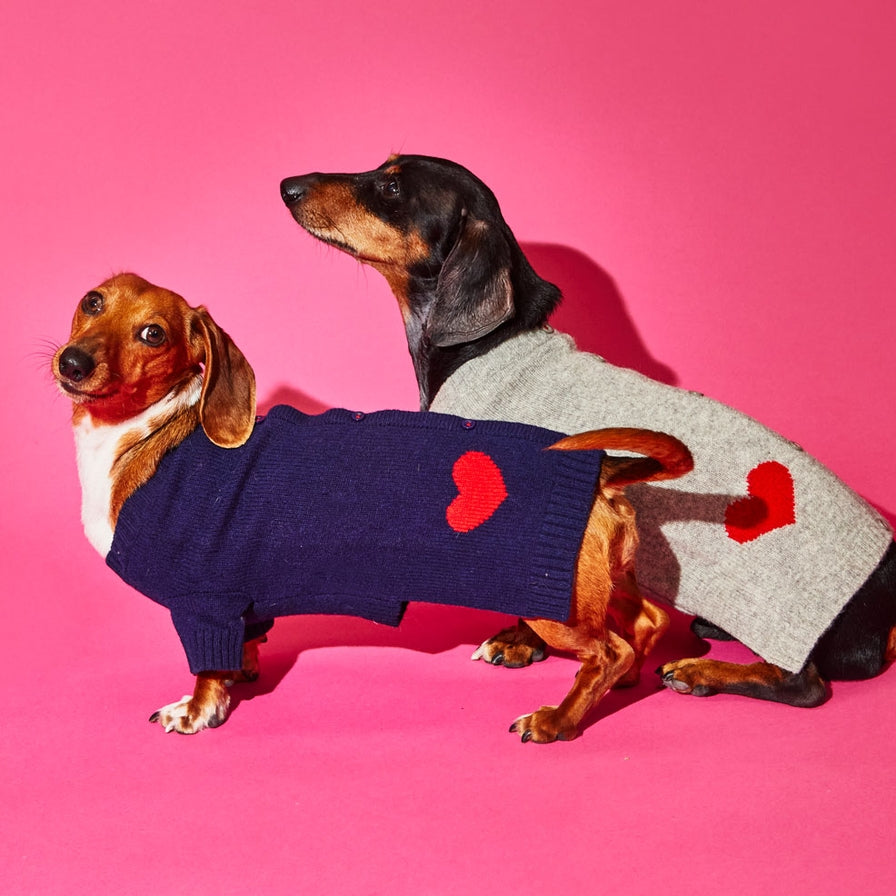 Heart Dog Cardigan