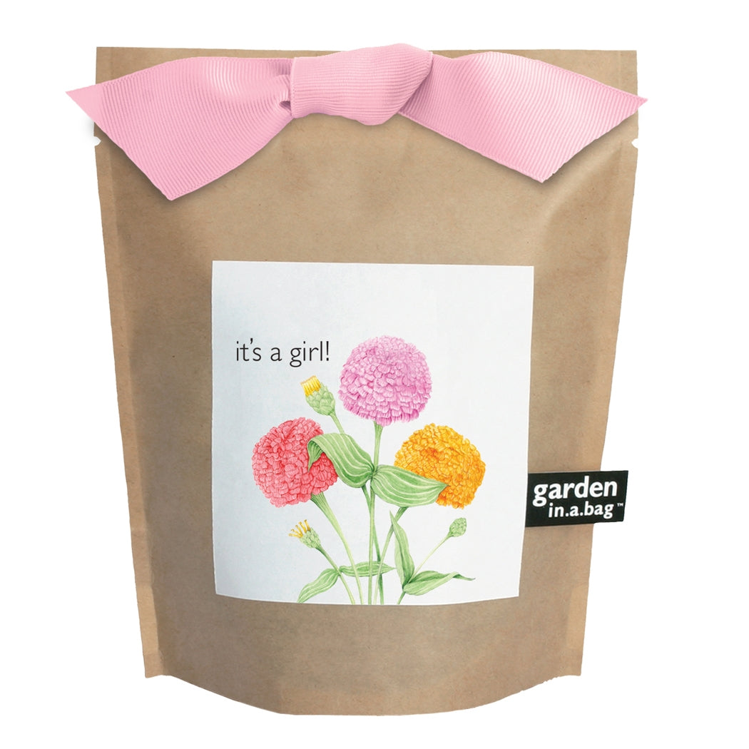 Baby Shower Garden in a Bag