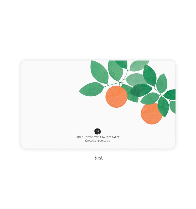 Orange Grove Little Notes®