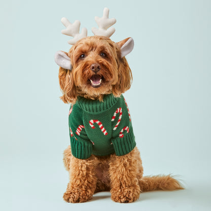 Candy Canes Dog Sweater