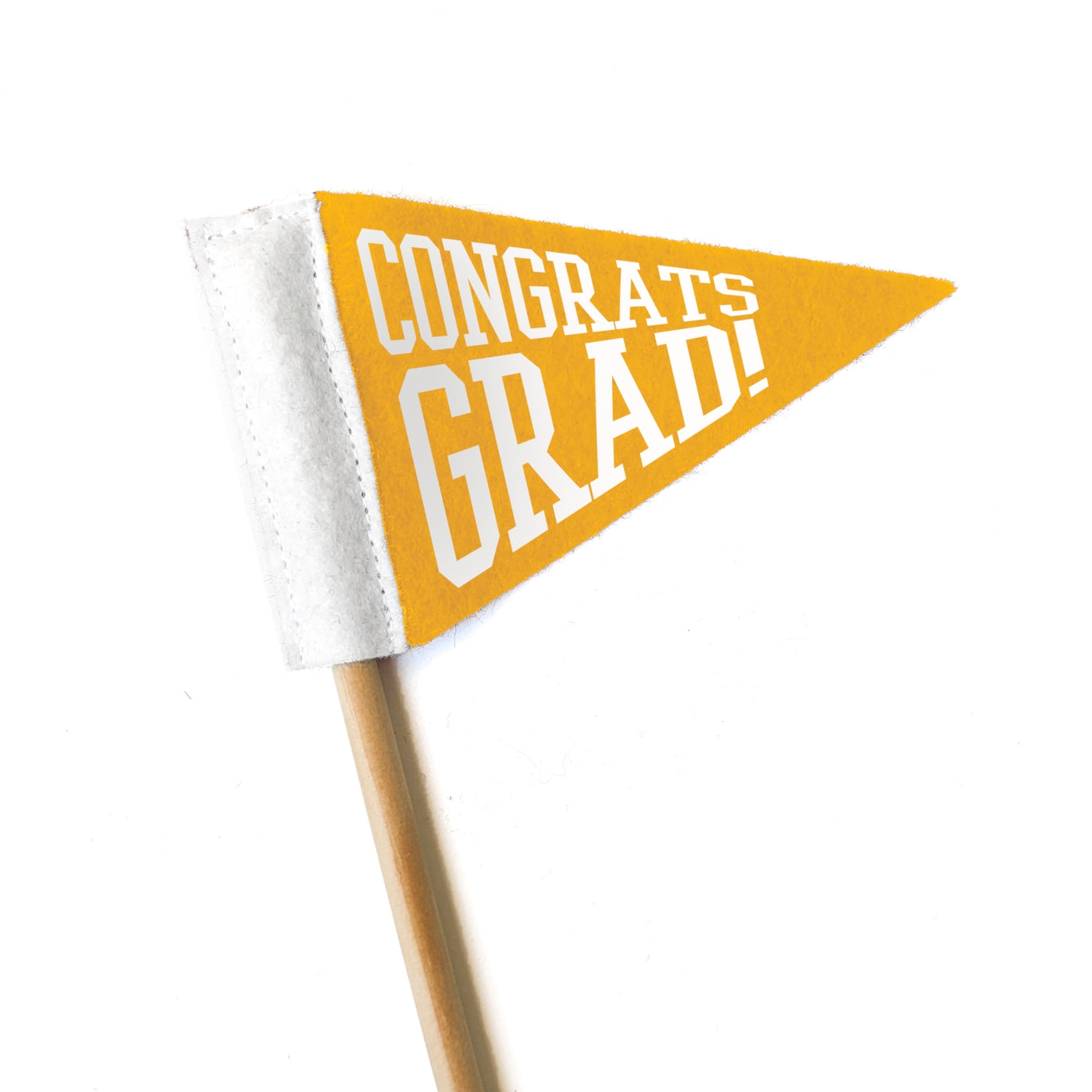 Graduation Pennant Flag