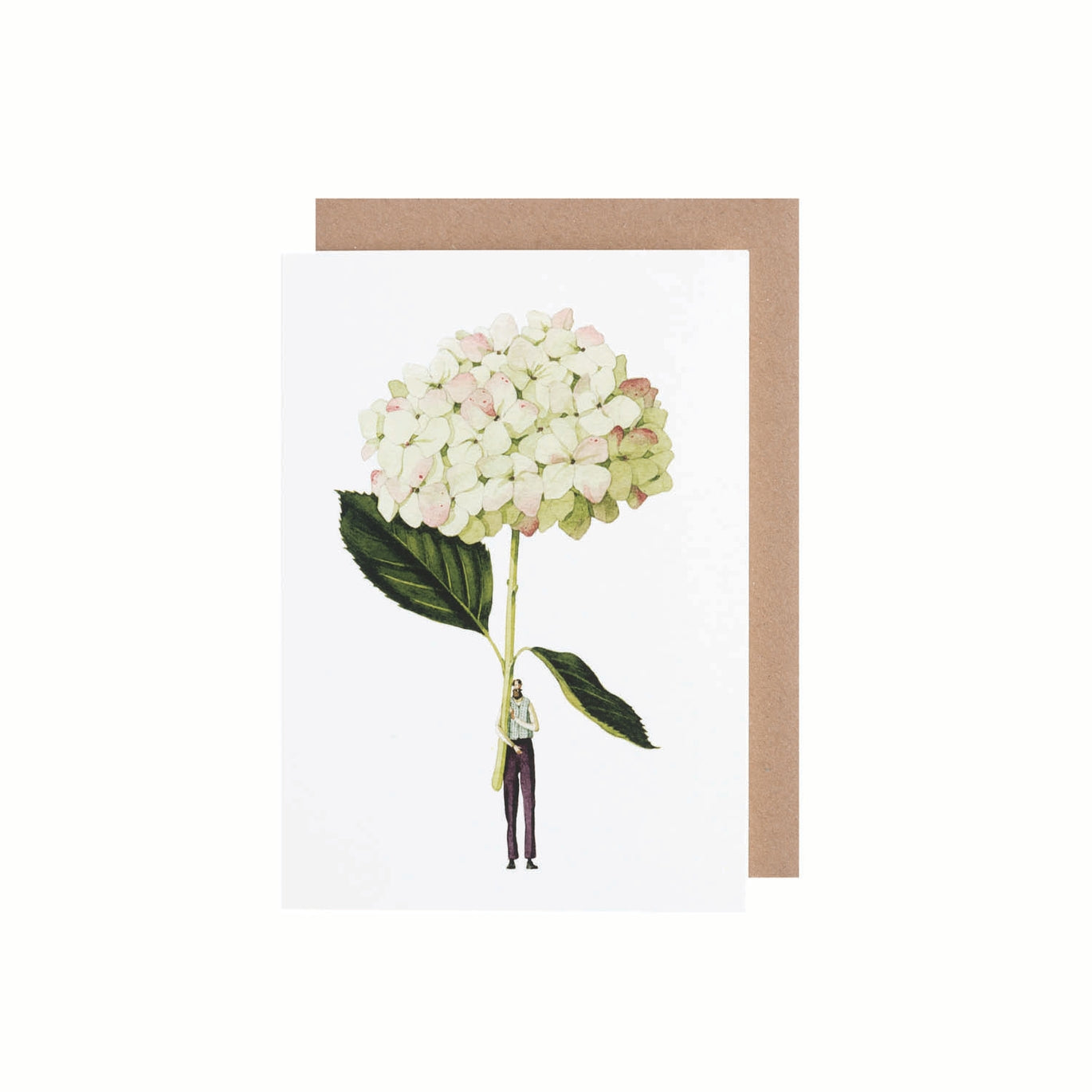 Green Hydrangea Greeting Card