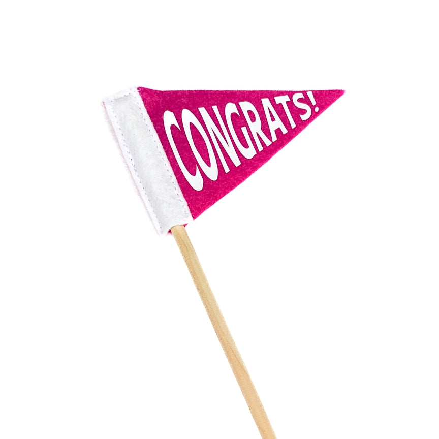 Graduation Pennant Flag