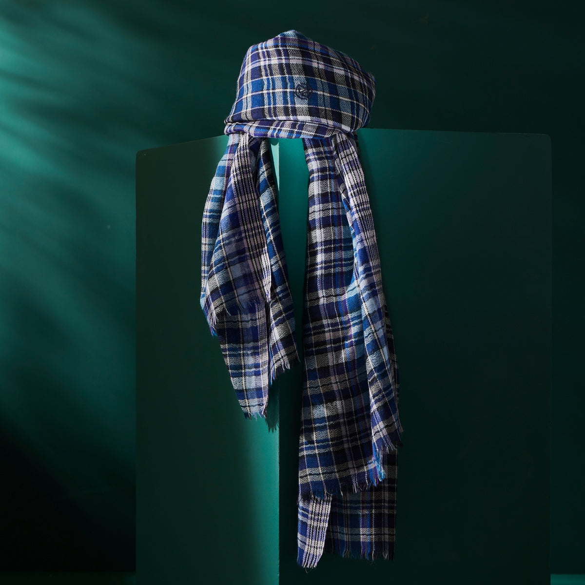 Barra Checkered Men's Scarf