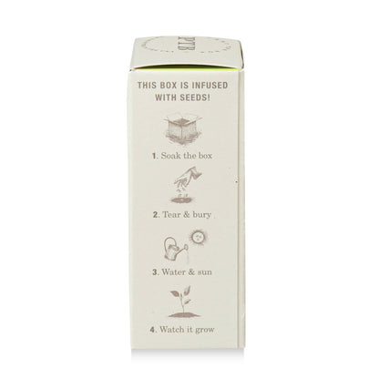 Fresh Picked Basil - Plant the Box Bar Soap - 7 oz