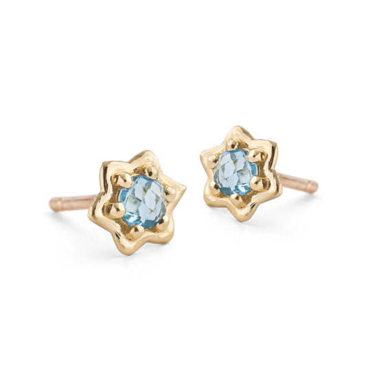 Star of David Earrings