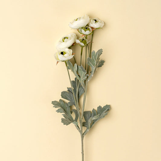 Ranunculus Spray