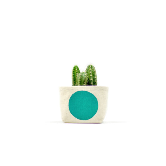 Dot Blockprint Canvas Planter with Succulent