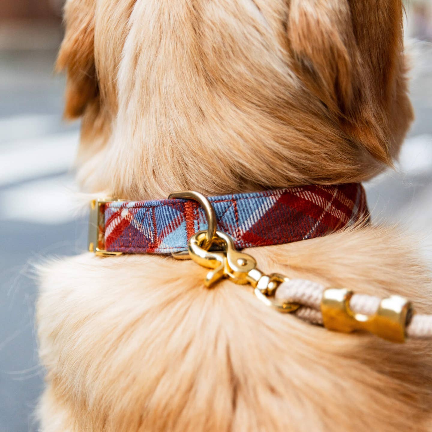 Maple Plaid Flannel Dog Collar
