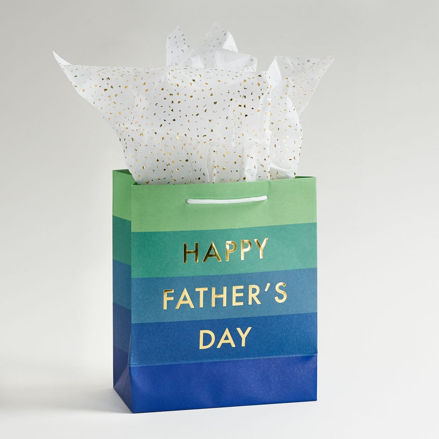 Happy Father's Day Color Block Medium Gift Bag