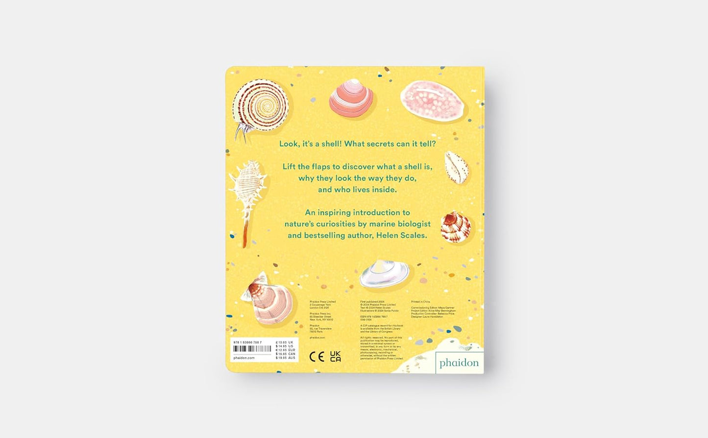 Shells...and what they hide inside