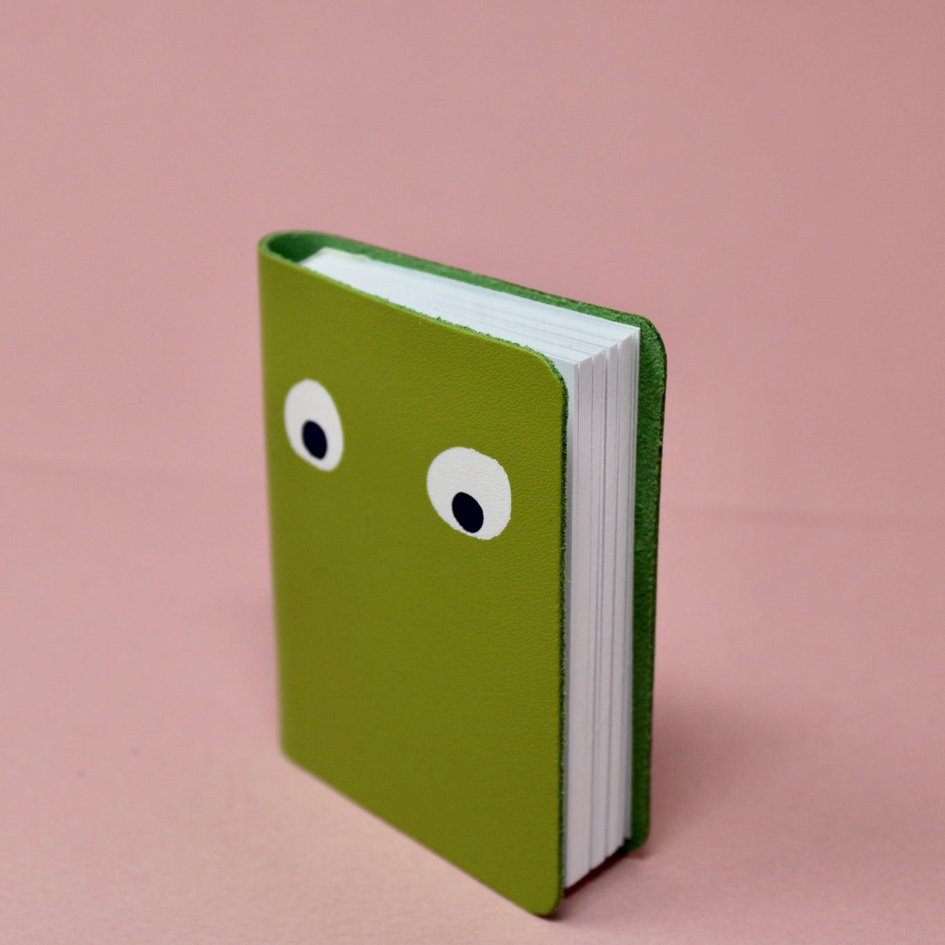 Googly Eye Mini Notebook
