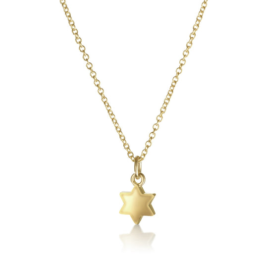 Dainty 14 kt. Jewish Star Necklace