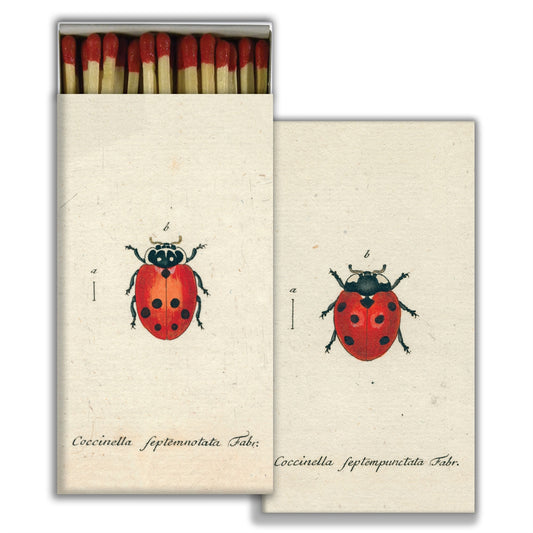 Lady Bug Matches