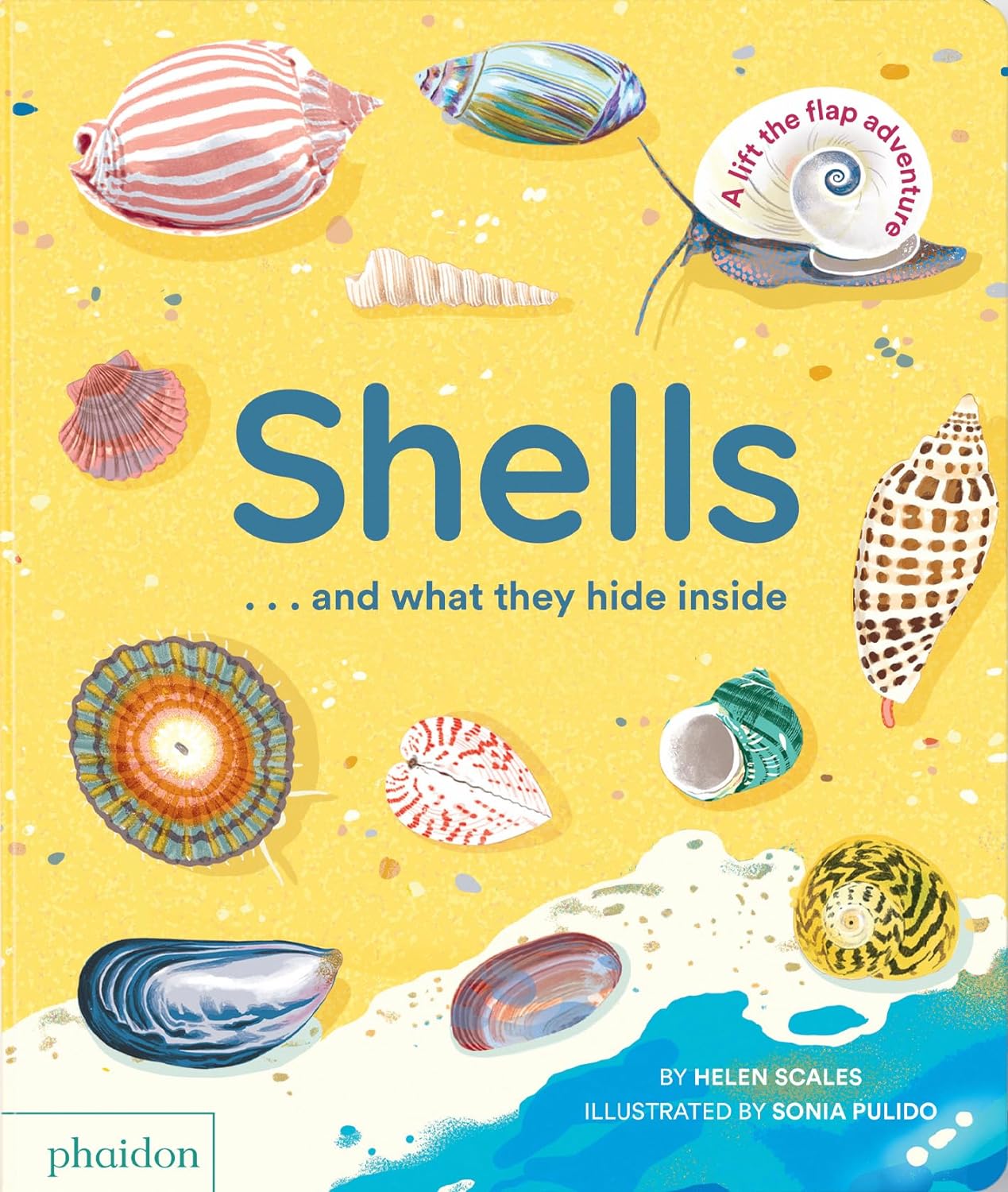 Shells...and what they hide inside