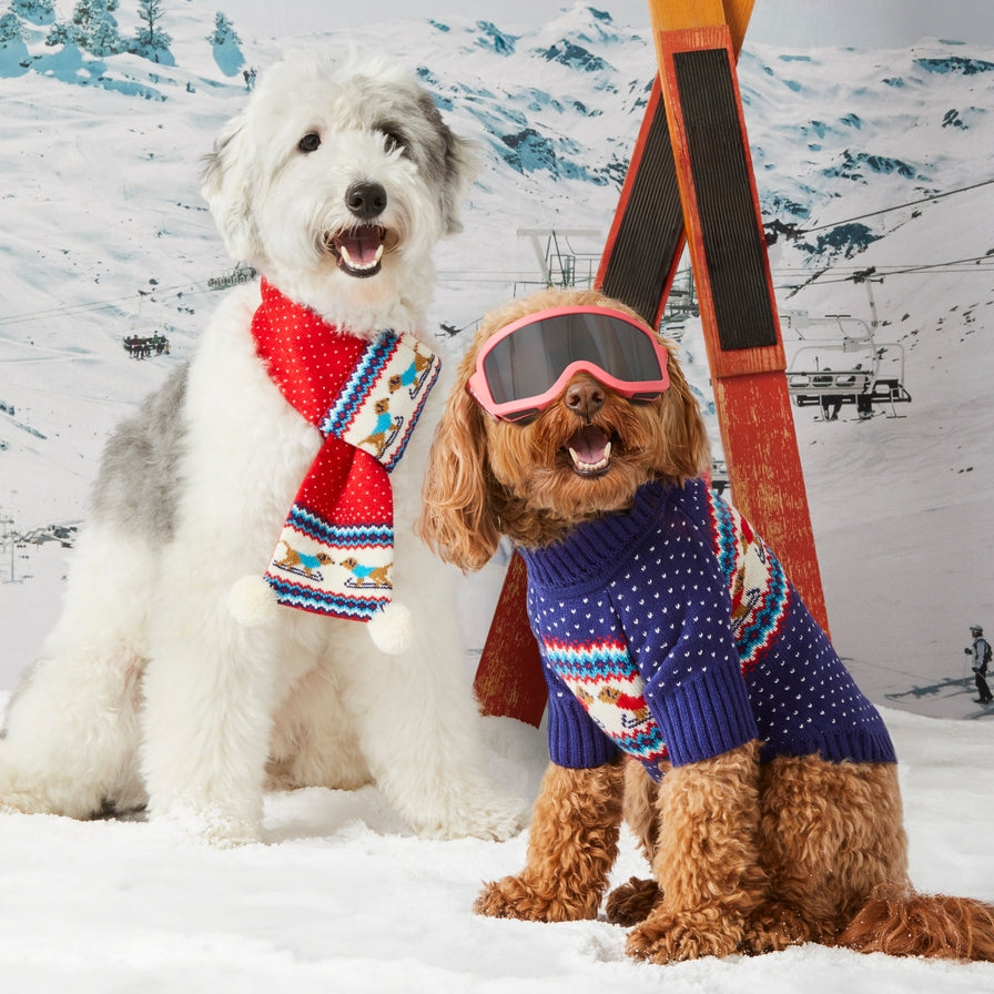 Hit the Slopes Dog Sweater