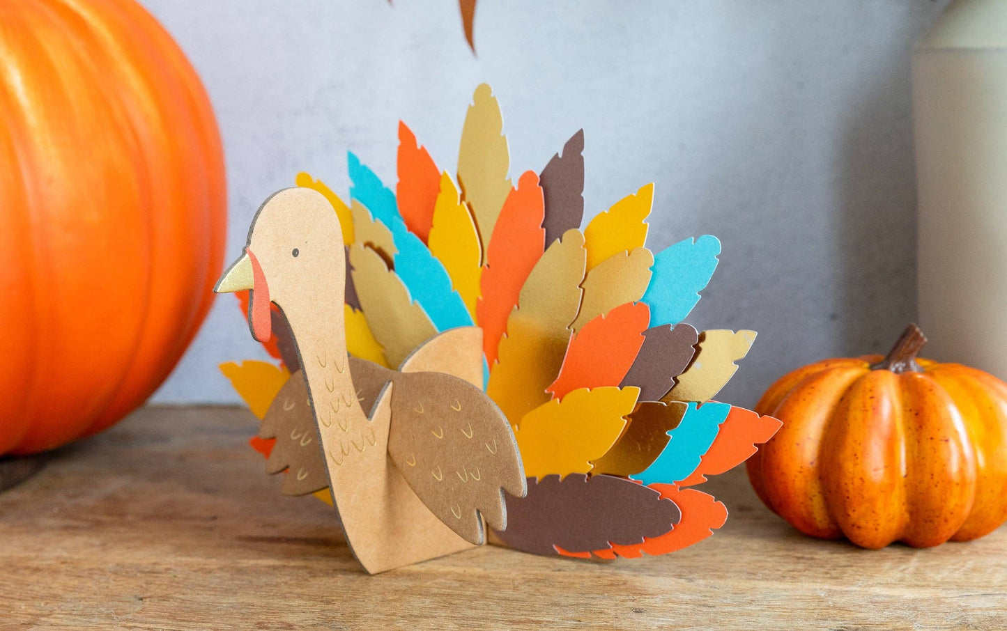 Turkey DIY Project Kit