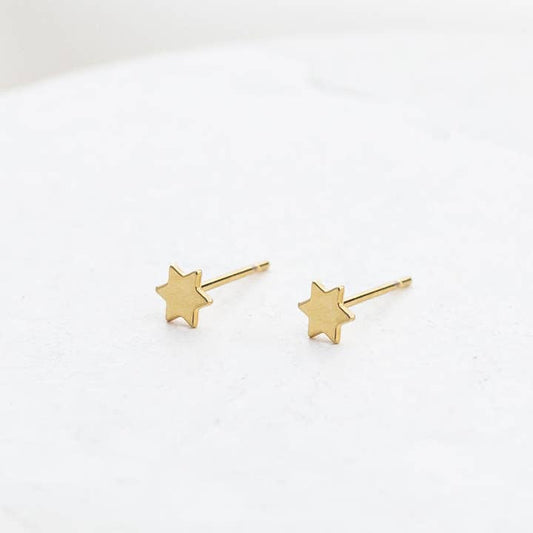 Tiny Star of David Earrings