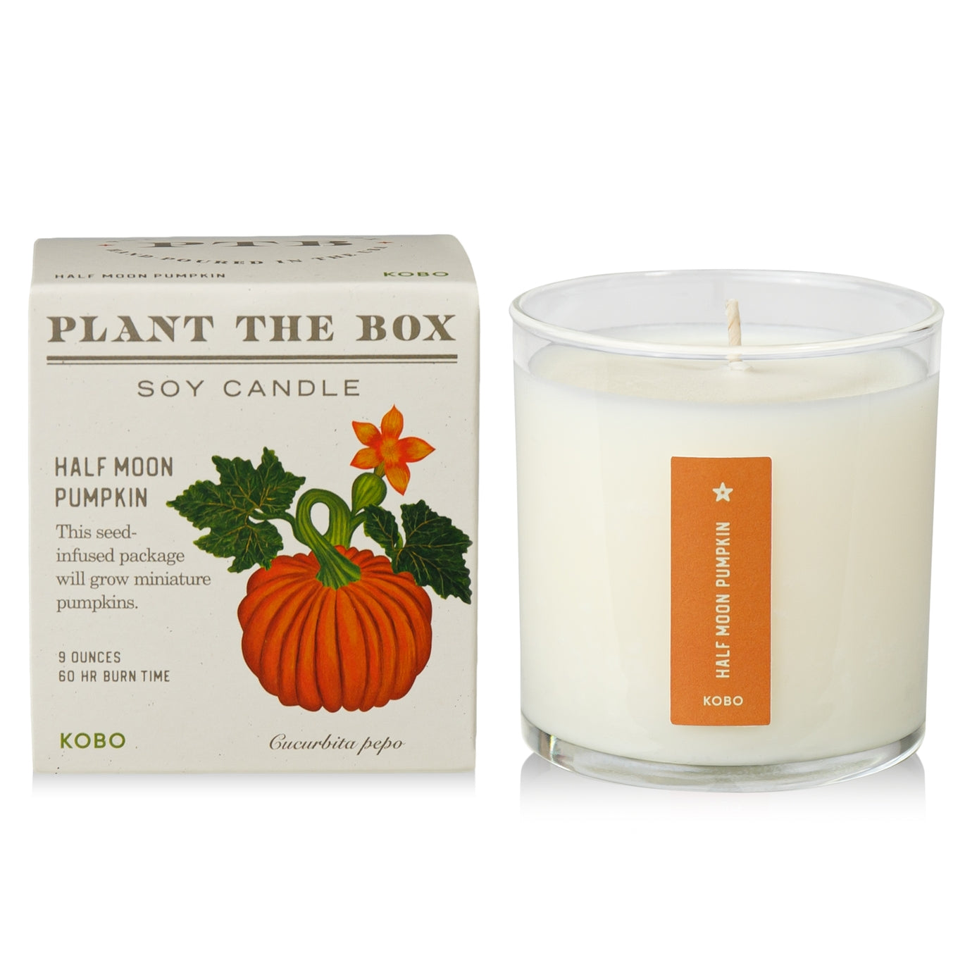 Plant The Box Candle - Multiple Fragrances