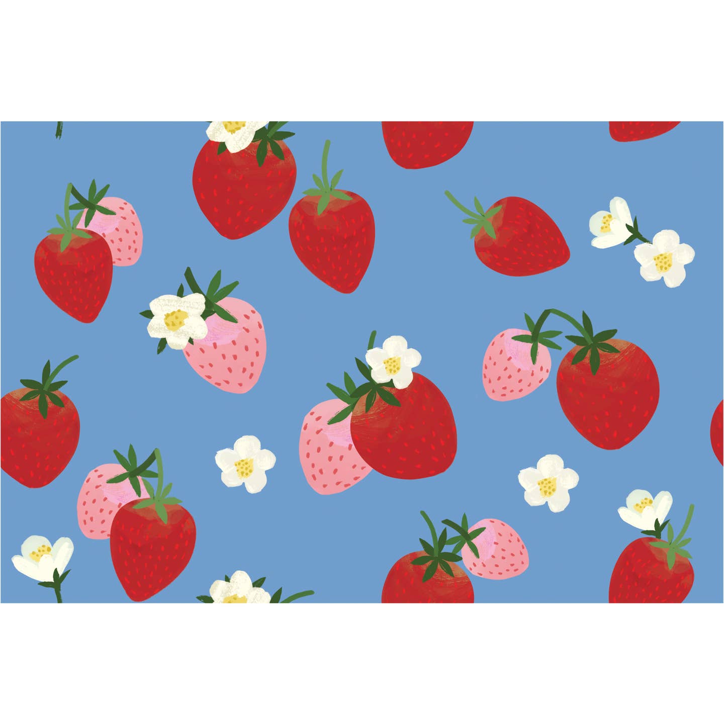 Fruit and Fleur Gift Wrap