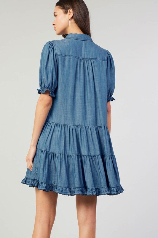 Chambray Button Down Dress