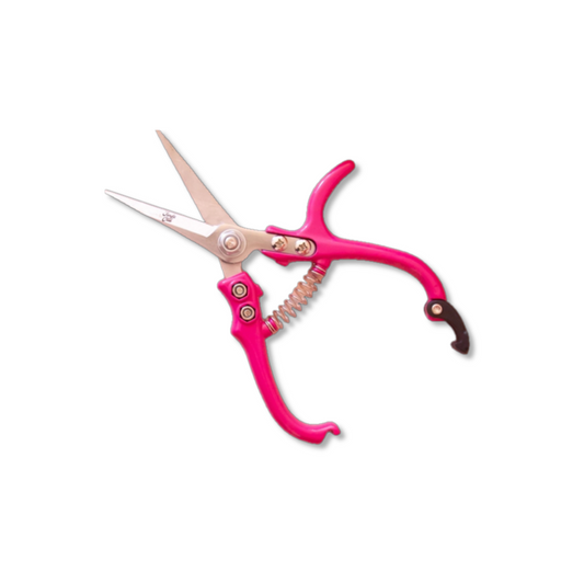 Hibiscus Pruning Shears