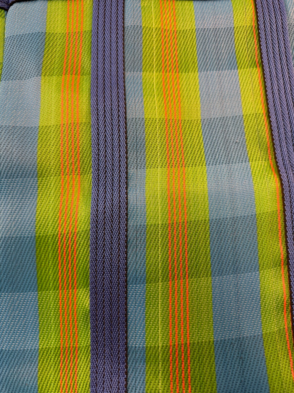 Paris Picnic Tote