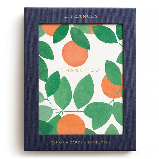 Orange Grove Thank You Card Set