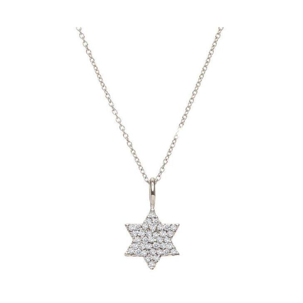 Diamond Studded Jewish Star Necklace - 14kt.