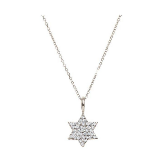 14k Jewish Star Necklace