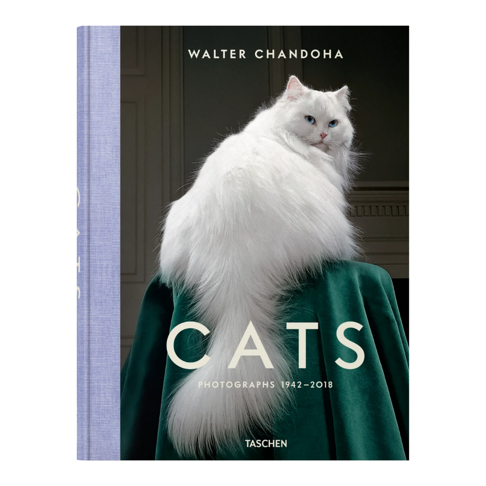 Walter Chandoha. Cats. Photographs 1942–2018