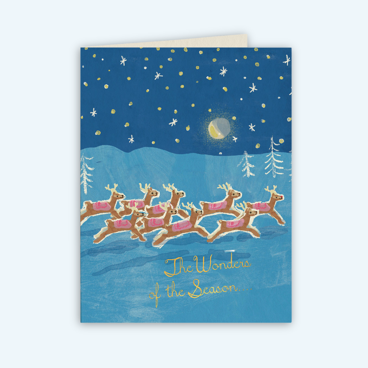The Wonders of the Season Holiday Card