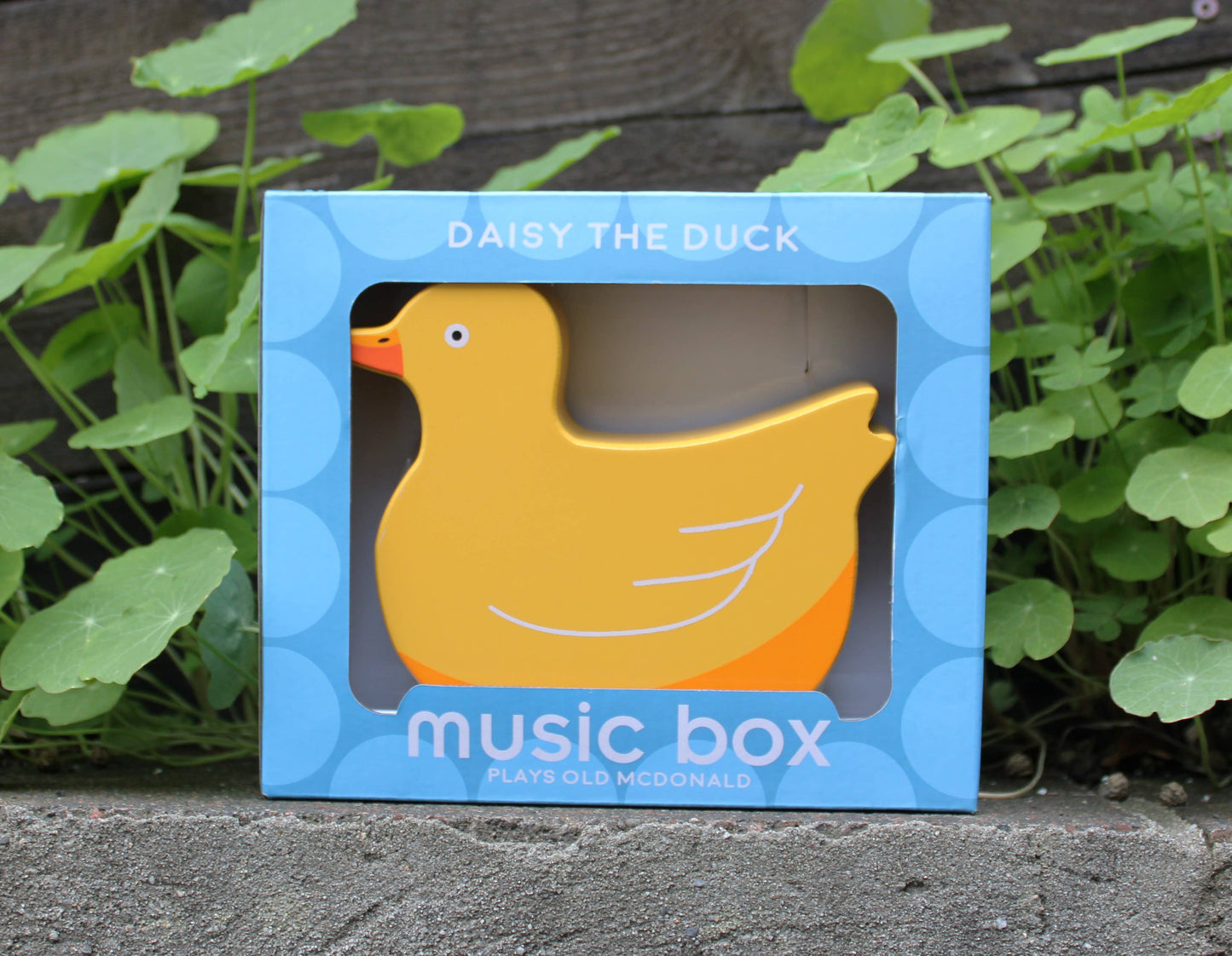 Duck Music Box