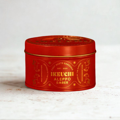Aleppo Ember Finishing Salt