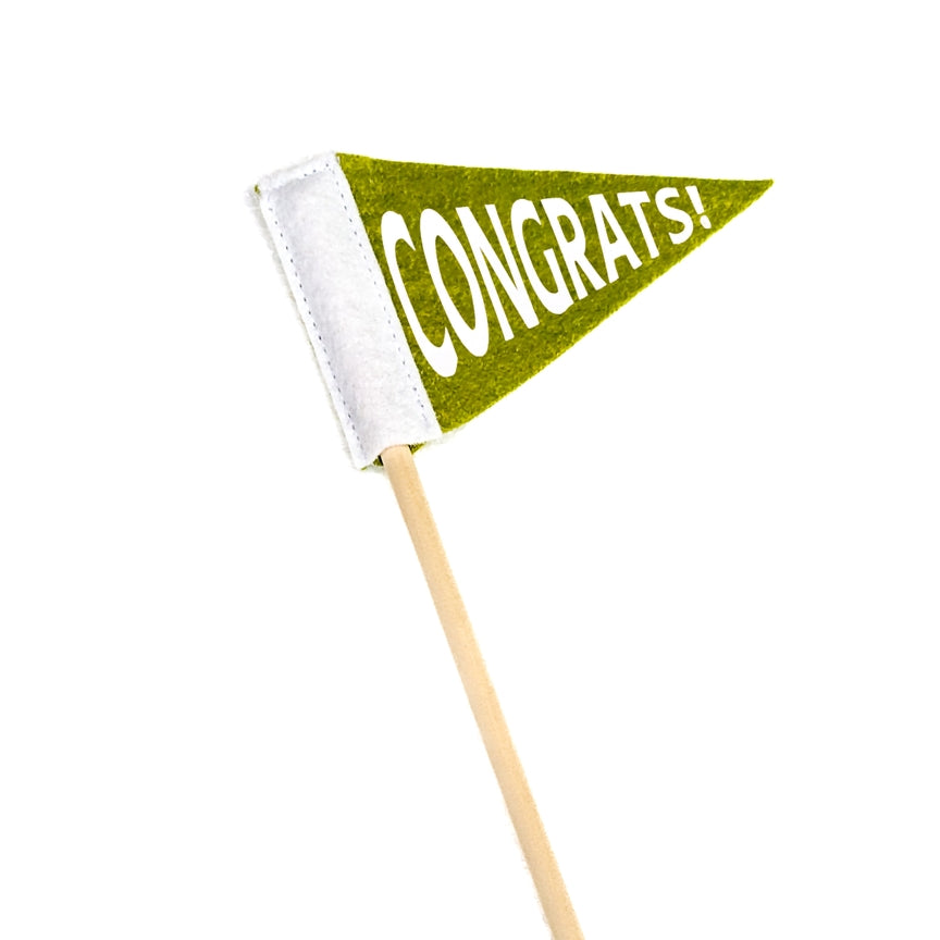 Graduation Pennant Flag