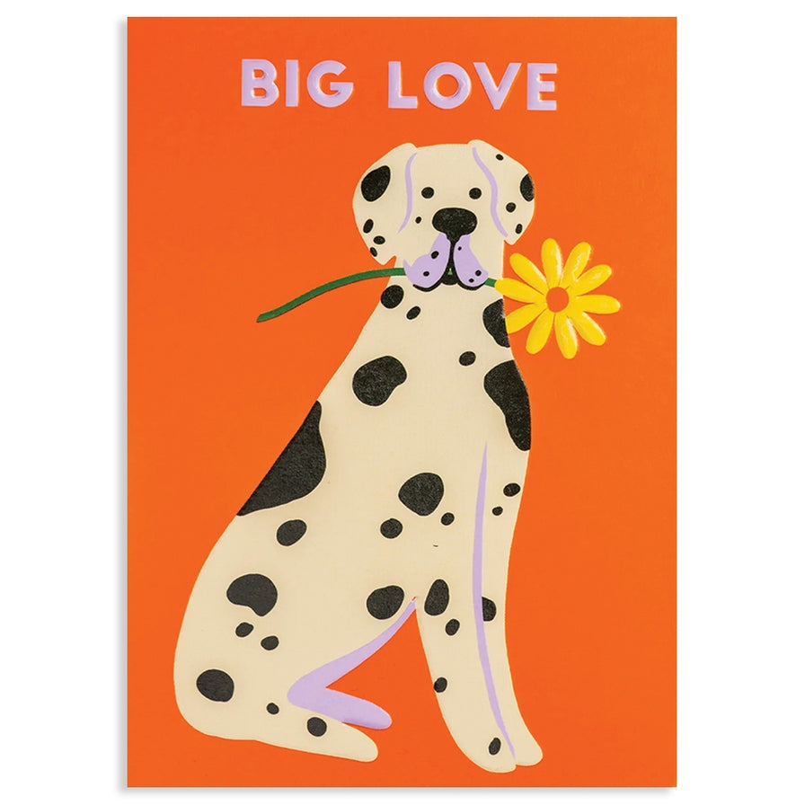 Big Love Birthday Card