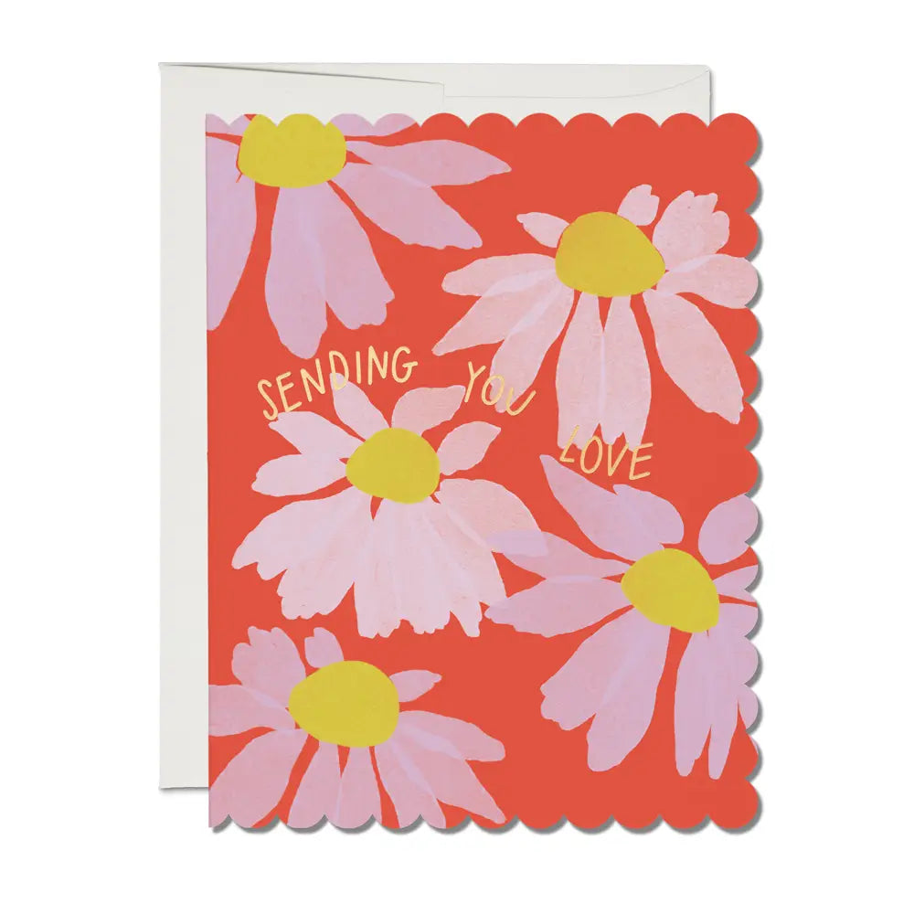 Scalloped Coneflower Sympathy Card