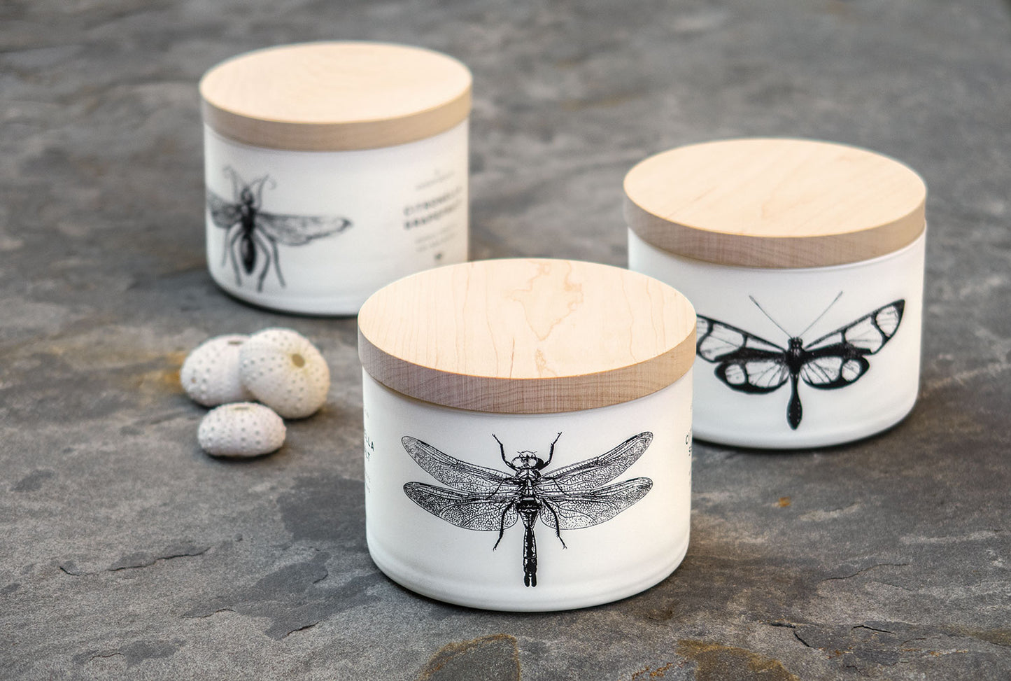 Citronella Eucalyptus 3-Wick Candle